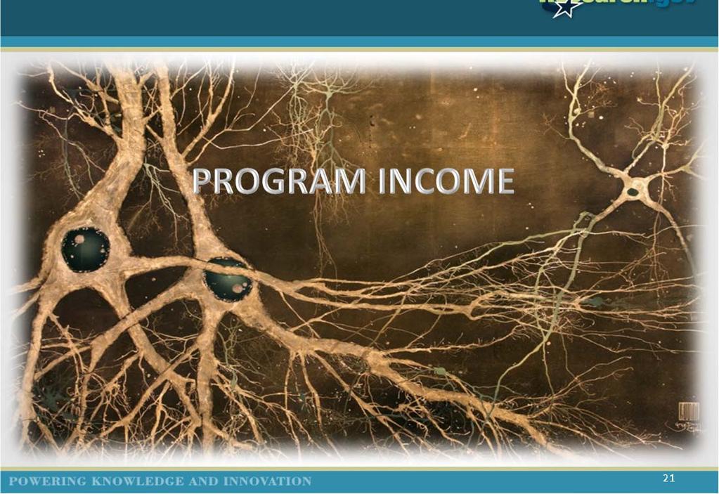 PROGRAM INCOME 21 Program Income The Program Income Reporting Worksheet was made available to awardees through Research.gov.
