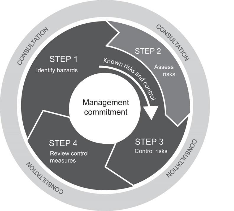 Figure 1: The Risk Management Process Risk management is a proactive process that helps you respond to change and facilitate continuous improvement.