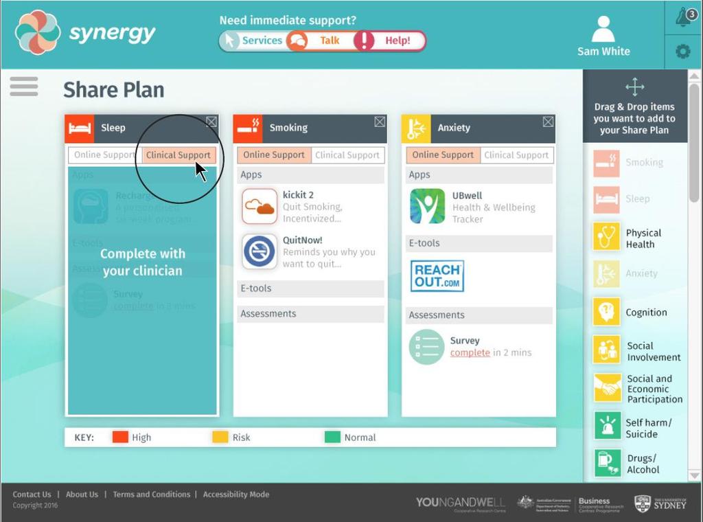 Share plan (decision tool) wireframe -