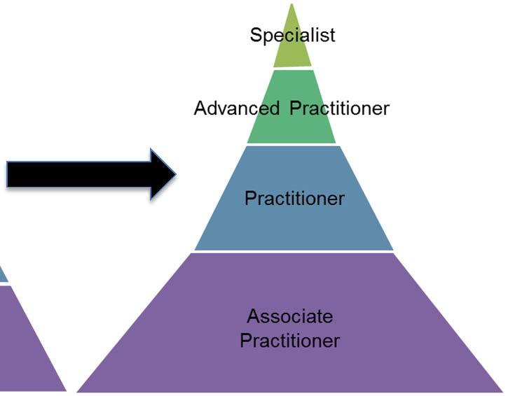 Specialist Advanced Practitioner Practitioner Associate Practitioner Pillar One- Increasing Productivity The drive towards gaining efficiencies through increasing productivity in the delivery of care