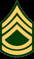 PROMOTION POTENTIAL INDICATORS Platoon Sergeant Consider FULLY QUALIFIED the Armor NCO who