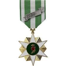 Established in 1966, it was awarded to members of United States, Australian, and New Zealand military forces