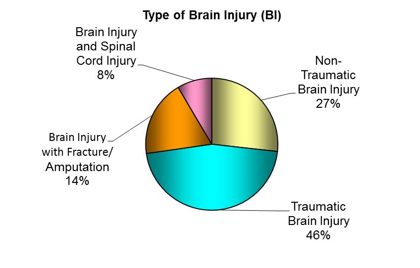 Brain Injury Program Information The Brain Injury Program at TIRR Memorial Hermann has a team of physicians, therapists, nurses, case managers and social workers dedicated to expert care of persons