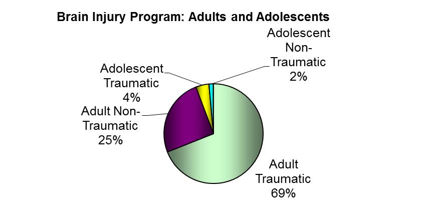Average Age and Gender In 2012, 377 adult patients were discharged from the Brain Injury Program. The average age of a patient with a non-traumatic brain injury was 50.