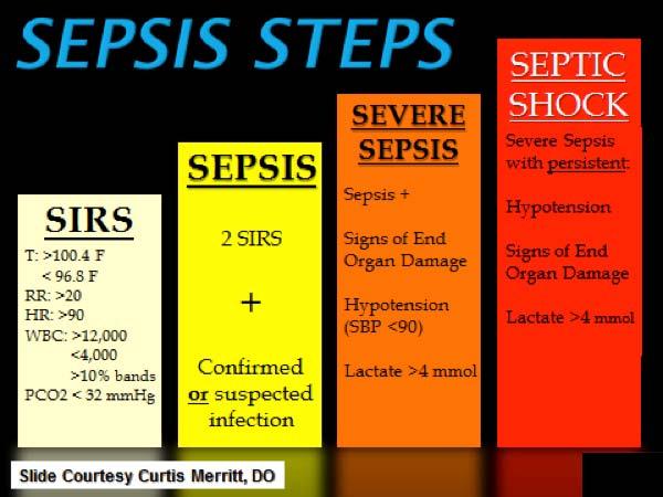 The Surviving Sepsis Campaign (SSC) is a partnership of the European Society of Intensive Care Medicine and the Society of Critical Care Medicine formed in 2002 to promote advances in sepsis care, in