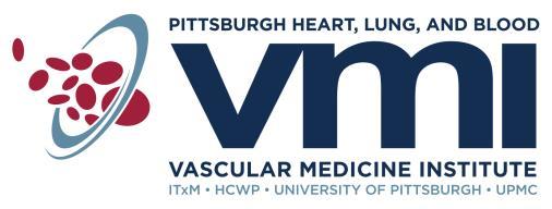 THE VASCULAR MEDICINE INSTITUTE (VMI) ANNOUNCES THE PILOT PROJECT PROGRAM IN HEMOSTASIS AND VASCULAR BIOLOGY (Revised, November 2017) The VMI was established at the University of Pittsburgh in 2008