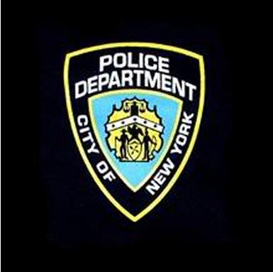 Recommendations for Analysis and Risk Mitigation New York Police