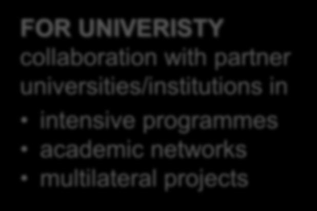 training abroad FOR UNIVERISTY collaboration with