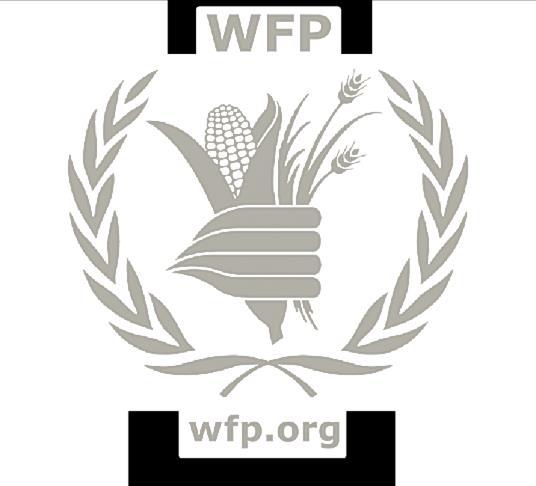 Investment to achieve zero hunger: WFP s 2018 2022 private sector partnerships and