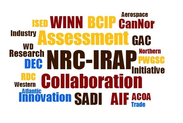 Working with stakeholders IRAP offers program delivery expertise and advisory services to other federal and