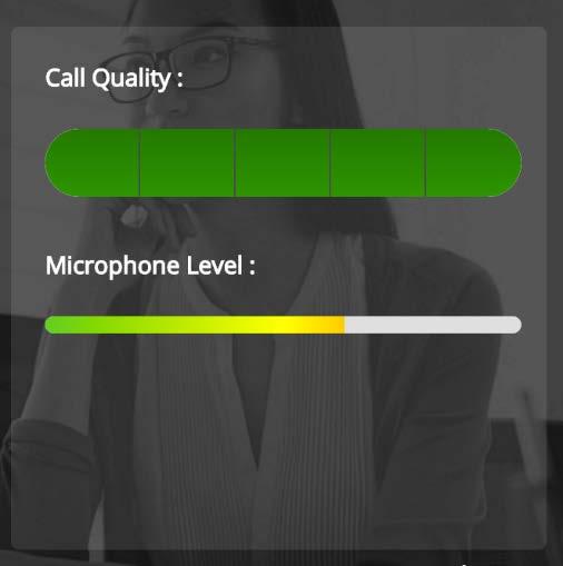 When connected, the VoIP audio app monitors call quality and your mic level. Click CONNECT.