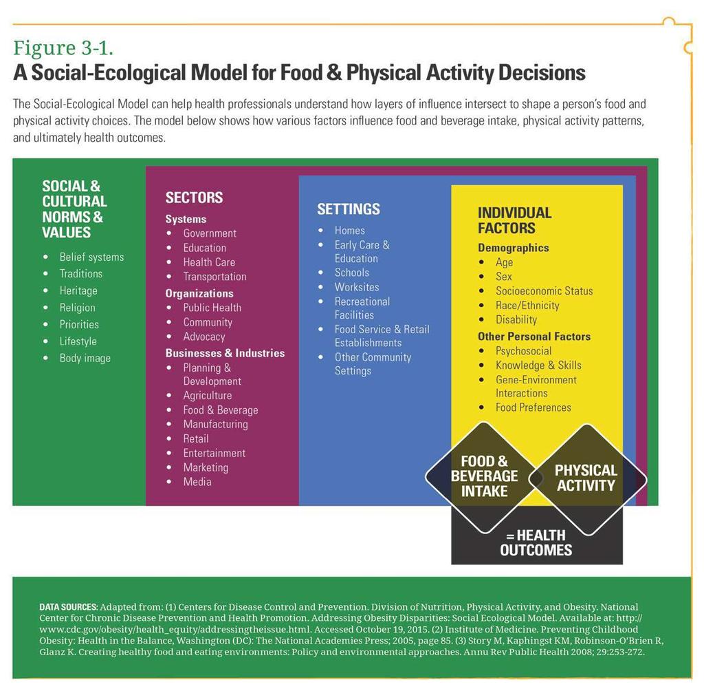 Introduction Examples of Potential SNAP-Ed Activities Examples of allowable activities conducted at the individual and interpersonal level include, but are not limited to: Conducting nutrition