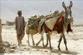 An INS has built an IED and is transporting it on his donkey to a spot on the road frequently used by ISAF troops.