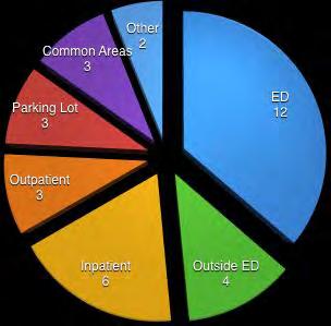 Location of Incidents at the Hospital/Healthcare Facility: The locations