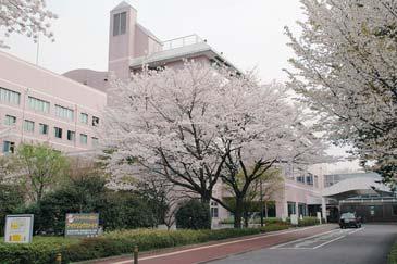 Kitasato University East Hospital Providing Quality Care for an Aging Society The East Hospital was inaugurated in 1986 to complement the role of Kitasato University Hospital and meet the needs of an