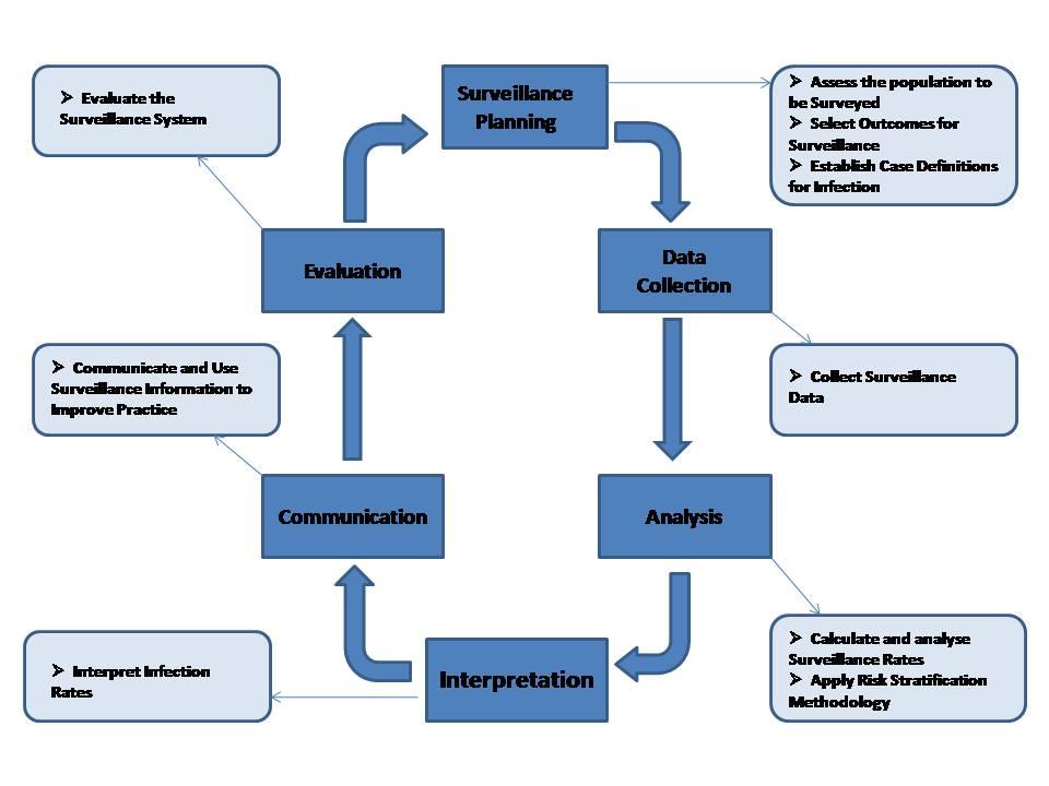 Figure 1: Steps to Planning a Surveillance System Step I: Assess the Population to be Surveyed As each health care setting serves different types of patients who face varying levels of risk for