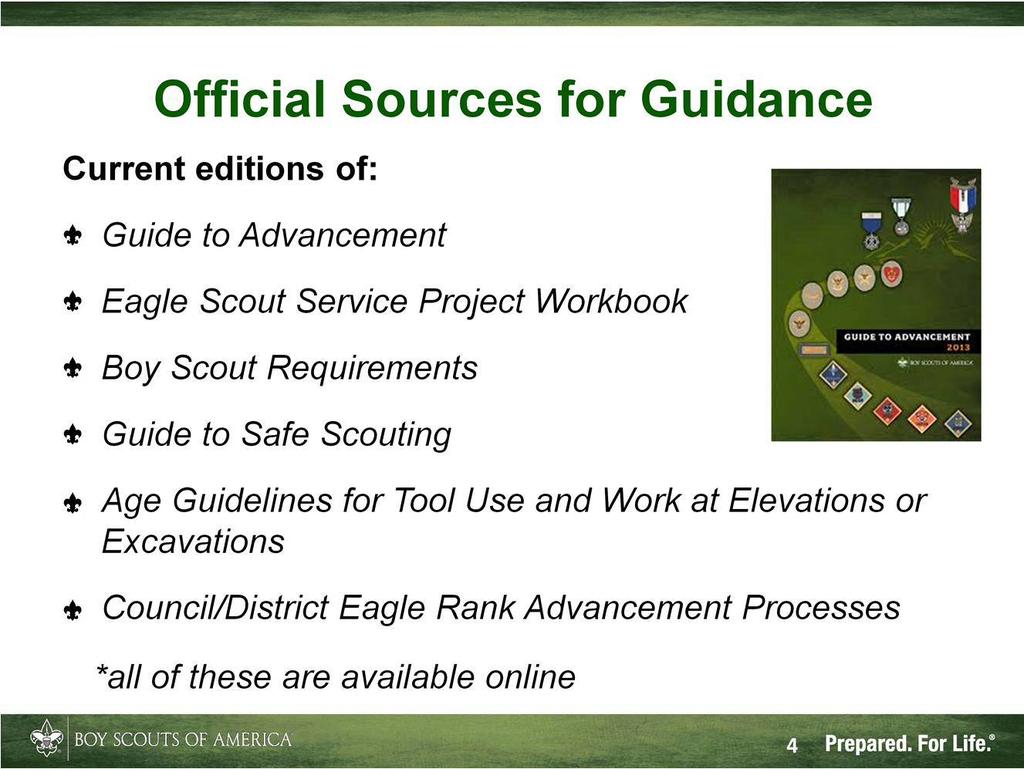 A Unit Eagle Scout Mentor must, above all, abide by the policies and procedures outlined in these official resources. There are, of course, quite a few helpful guidelines as well.