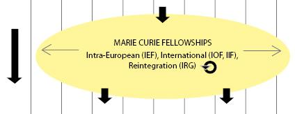 Marie Curie young researcher definition