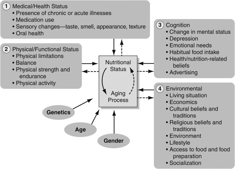 Nutrition & Aging Impact Overall Health Bernstein, Munuoz, 2012.