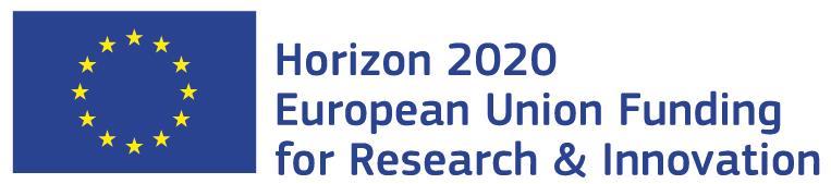 0 31 October 2016 Disclaimer This document is aimed at informing potential applicants for Horizon 2020 funding. It serves only as an example.