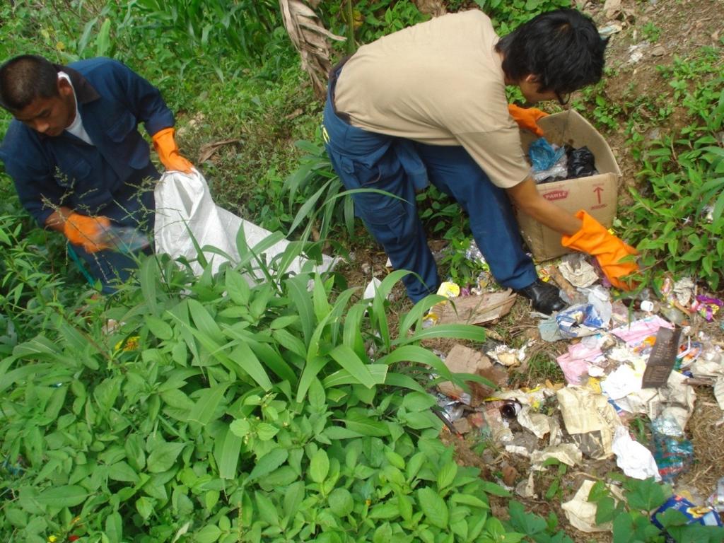 Picture 7: Volunteers picking wastes that