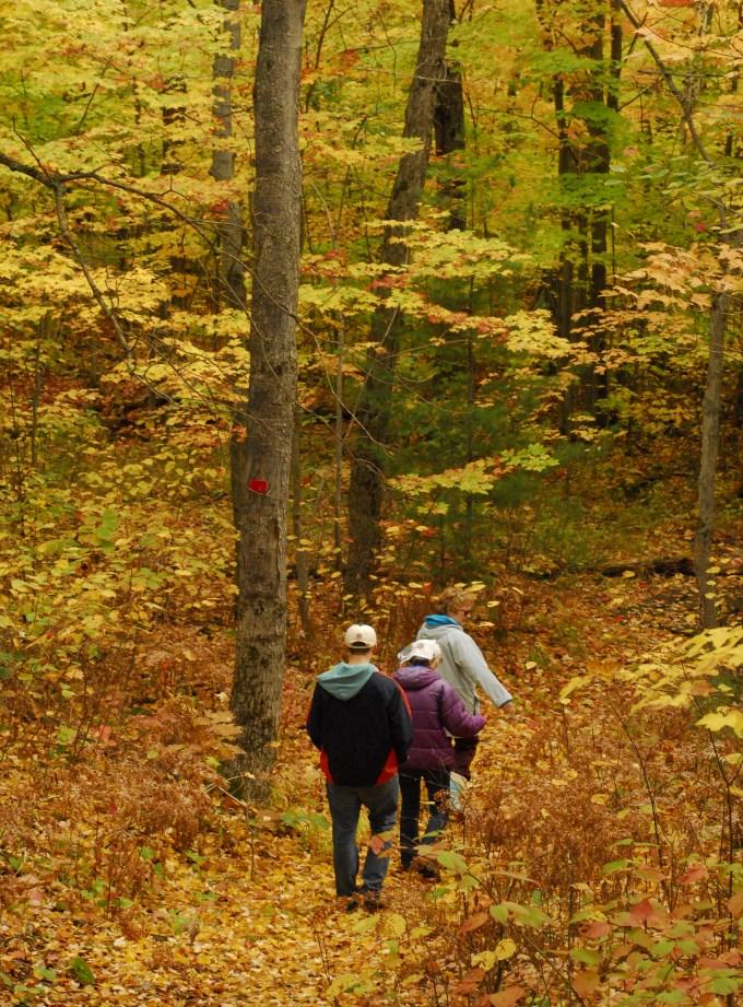 The Beaver Lake trail will take you through a low-laying hardwood forest typical of Central Ontario,