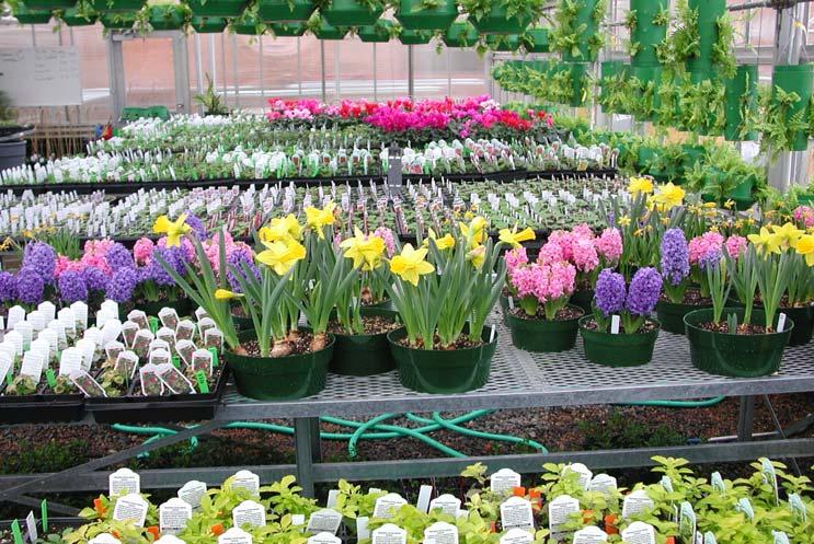 Horticulture Science & Greenhouse Plant Production & 2 years Plant identification & propagation, growing potted & seasonal plants,