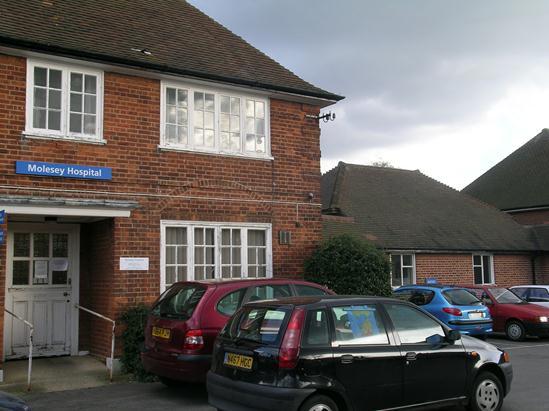 Molesey Hospital Situated in the East Elmbridge Locality, Molesey Hospital is the oldest of the five community hospitals.