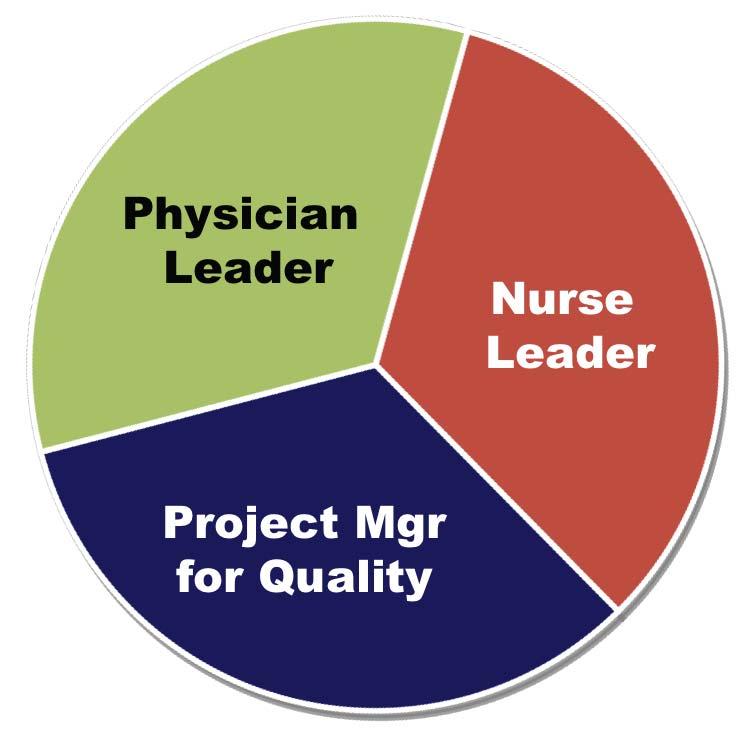 To bring clinical strategy to the frontline, we established local leadership on each hospital unit Three-Way Partnership Manages Quality on the Hospital Units Physician Leader and Nurse