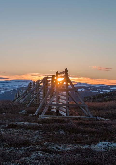Arctic Smart Rural Communities Ecosystem of the Sparsely Populated Regions New conceptual framework integrating rural resources Focus on multisectoral rural development Seeking the strength on