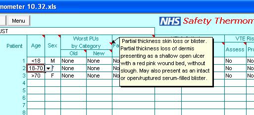 Alternatively you can key the Patient information straight into ST.