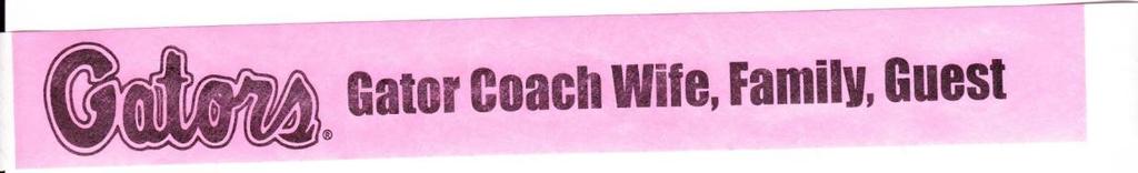 COACH S WIVES / FAMILY & GUEST S WRISTBAND Not good for stadium access Allows guest access