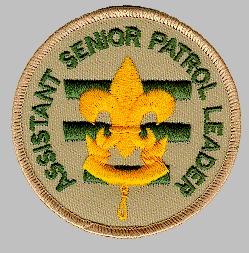 Life Scout Counts toward rank: Eagle Assistant Senior Patrol Leader (ASPL) The Assistant