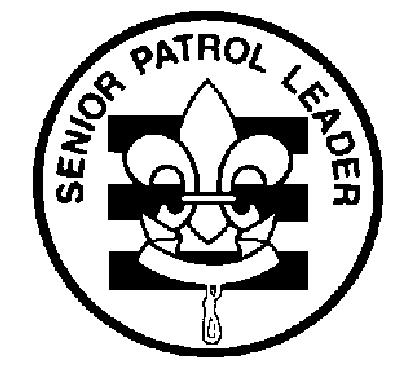 SENIOR PATROL LEADER Type: Elected by the members of the troop Reports to: Scoutmaster Description: The Senior Patrol Leader is elected by the Scouts to represent them as the top junior leader in the