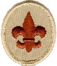 Boy Scout Joining Requirements Introduction The following list the requirements for joining the Boy Scouts of America and earning the Scout Rank. These Requirements became effective January 1, 2010.