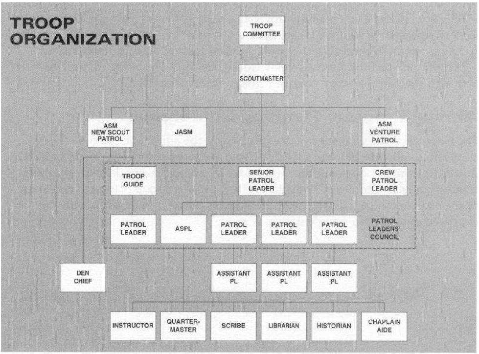 VII. TROOP ORGANIZATION The general organization