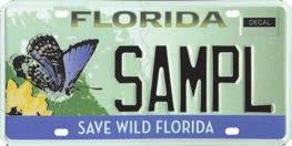 Florida Wildlife
