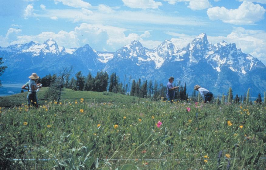 2015 REQUEST FOR RESEARCH PROPOSALS for UW-NPS RESEARCH CENTER The Proposal Program is funded by the National Park Service UW-NPS and Research Station at the University of Wyoming.