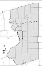 The Masten District Neighborhood Plan Date: 2004 Geographic Area: Masten District Neighborhoods; Cold Springs, Delavan - Grider, Fillmore -Leroy, Hamlin Park, Martin Luther King Jr.