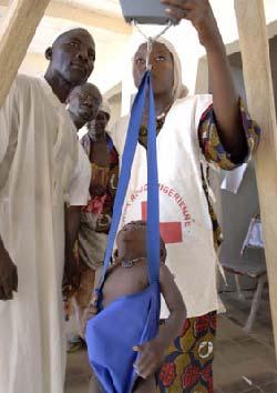 By mid-january 2006, 48,525 moderately malnourished children had been treated through the Red Cross/Red Crescent supplementary feeding centres at Tahoua, Maradi, Zinder, Agadez-Arlit and Tanout.