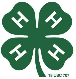 talents, and partnership with youth. So what constitutes excellence in the Club program? Wearing the 4-H name and emblem and holding regular meetings does not guarantee quality.