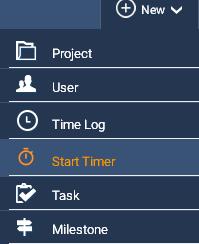 Once you clicked on the Start Timer, the Timer sheet will open.
