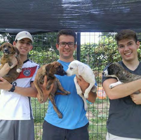 SERVING THE COMMUNITY Colony members often volunteer at the CARE Animal Rescue, by providing physical labor that is necessary for them to keep rescuing animals and decrease pet euthanasia rates.