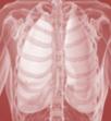 EVIDENCE-BASED PRACTICE Figure 3-4: Pneumonia Core Measures Pneumonia (PN) Pneumonia is caused by a viral or bacterial infection that fills the patient s lungs with mucus, thus lowering the oxygen