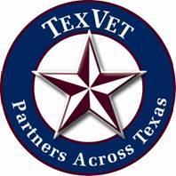 Summit on Texas Veteran Employment Issues The