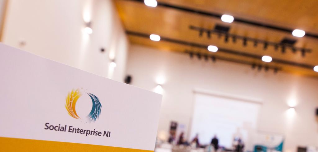 About Who we are and what we do Social Enterprise NI is the representative body for social enterprises and social entrepreneurs across Northern Ireland.