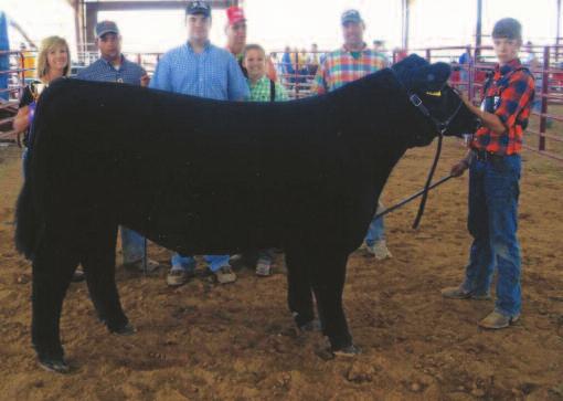 Above are participants Clarie Barnett, left, and Peyton Hix, right, with their prize steers.