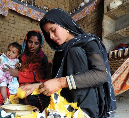 PAKISTAN 25.7 million people in Pakistan have benefited from a social safety net program between 2009 and 2015. From 2009-2014, more than $2.