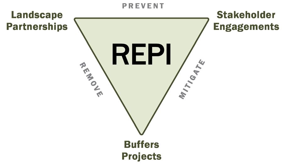 What is REPI?