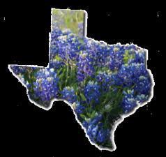 West Texas 12 Graduate Chapters 13 Undergraduate Chapters Regional Statistics East Texas 17 Graduate Chapters 15 Undergraduate Chapters 23 Amicae Auxiliaries